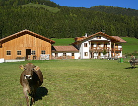 Niederdorf - Hofstelle Stifterhof