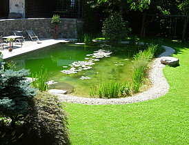 Gartengestaltung und Schwimmteich in Burgstall
